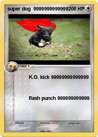 Pokemon super dog  9999999999999
