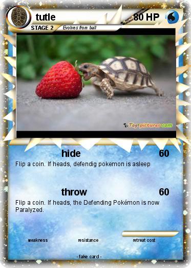 Pokemon tutle