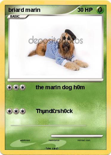 Pokemon briard marin