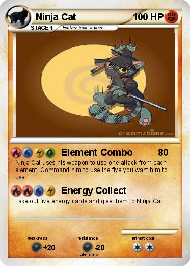 Pokemon Ninja Cat