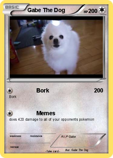 Pokemon Gabe The Dog