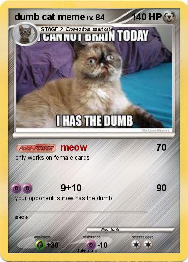 Pokemon dumb cat meme