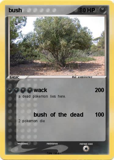 Pokemon bush