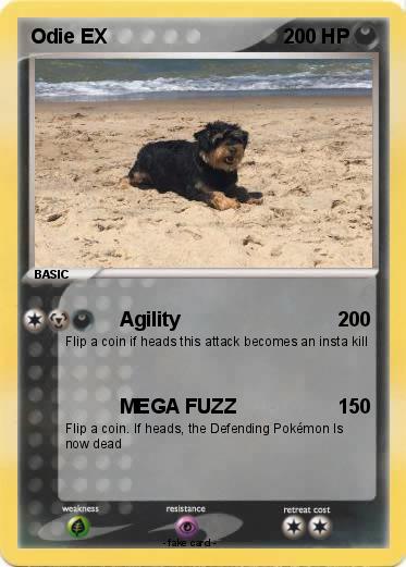 Pokemon Odie EX