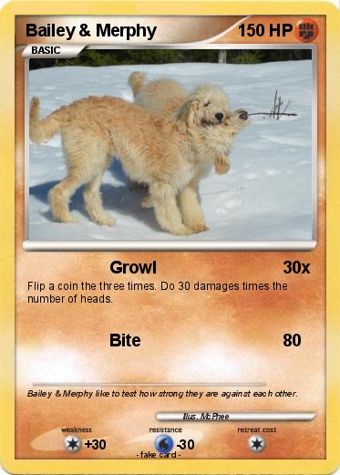 Pokemon Bailey & Merphy