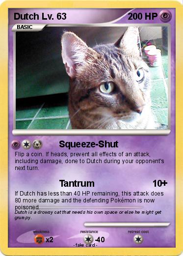 Pokemon Dutch Lv. 63
