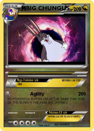 Pokemon BIG CHUNGUS