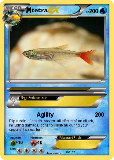 Pokemon tetra