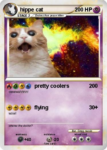 Pokemon hippe cat