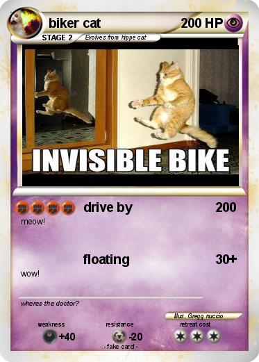 Pokemon biker cat