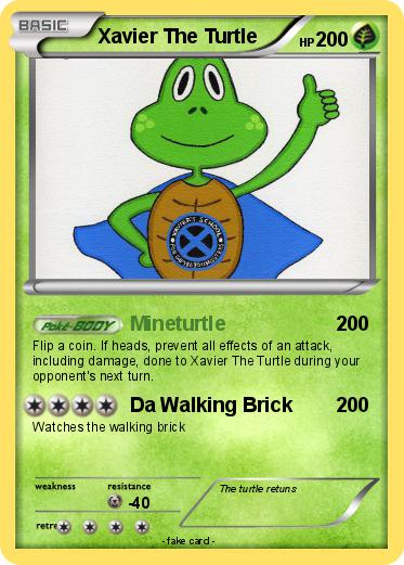 Pokemon Xavier The Turtle