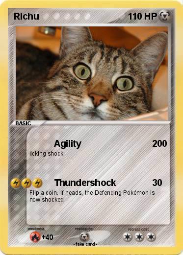 Pokemon Richu