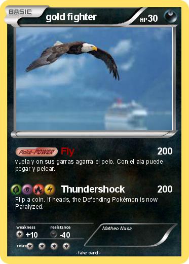Pokemon gold fighter