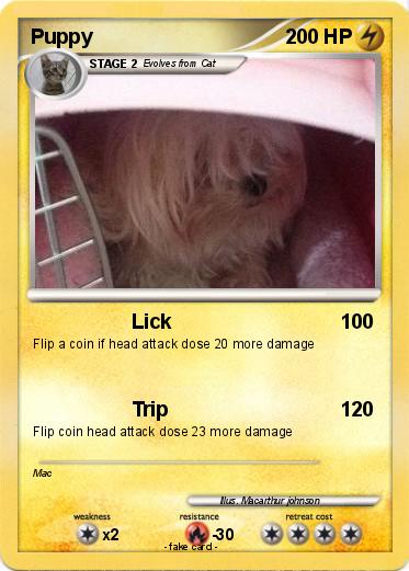 Pokemon Puppy