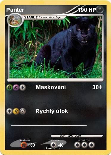Pokemon Panter