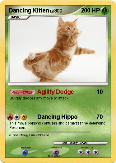 Pokemon Dancing Kitten