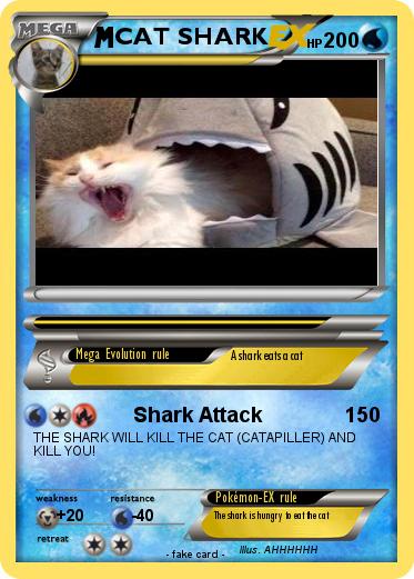 Pokemon CAT SHARK