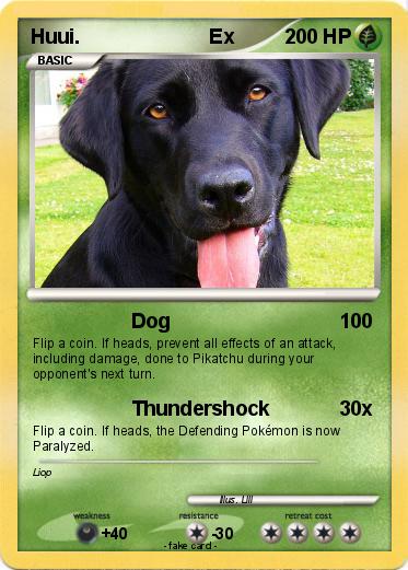 Pokemon Huui.                       Ex