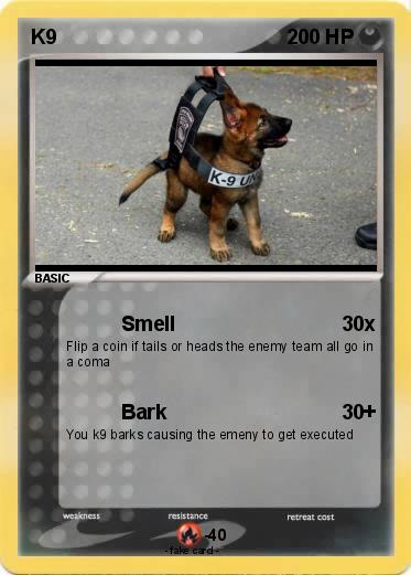 Pokemon K9