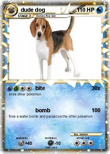 Pokemon dude dog