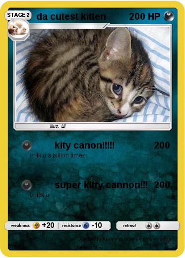 Pokemon da cutest kitten