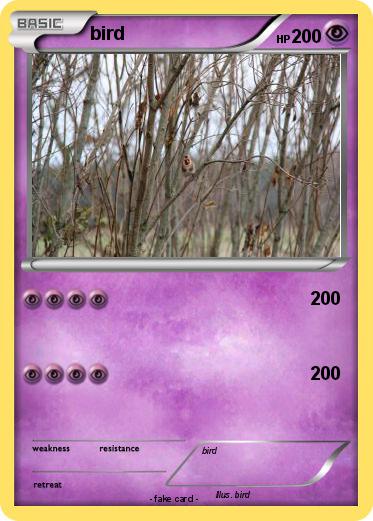 Pokemon bird