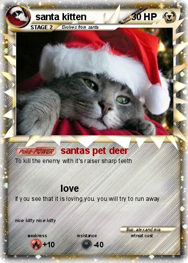 Pokemon santa kitten