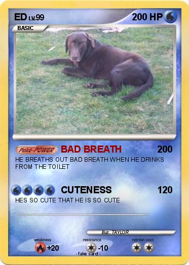 Pokemon ED