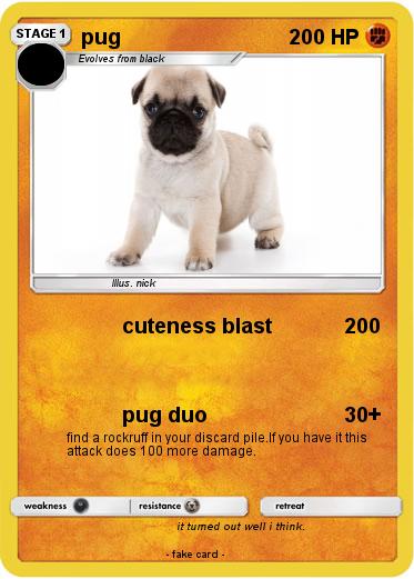 Pokemon pug
