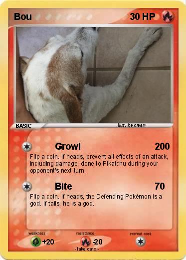 Pokemon Bou