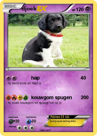 Pokemon djoek