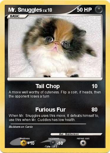 Pokemon Mr. Snuggles