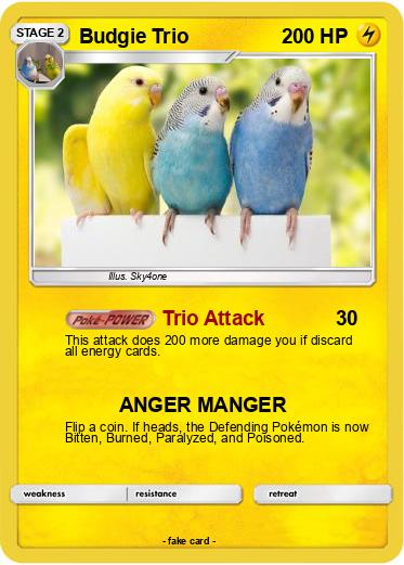 Pokemon Budgie Trio