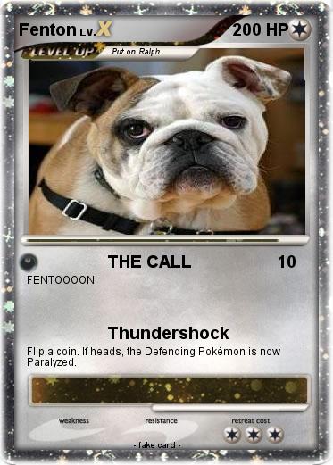 Pokemon Fenton