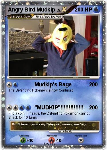 Pokemon Angry Bird Mudkip