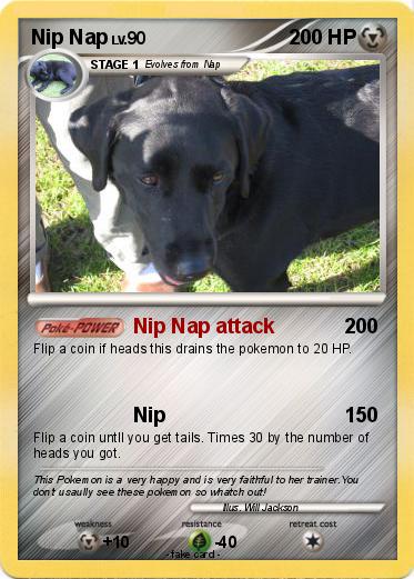 Pokemon Nip Nap