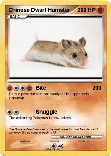 Pokemon Chinese Dwarf Hamster