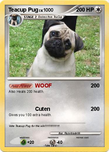 Pokemon Teacup Pug
