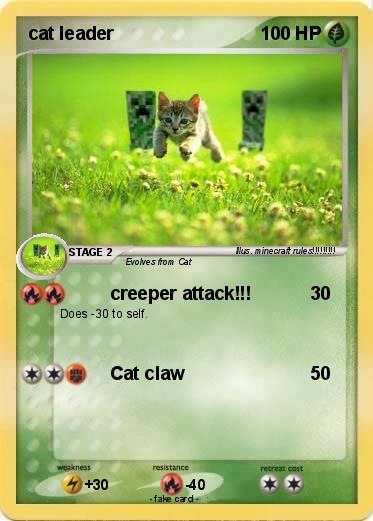 Pokemon cat leader