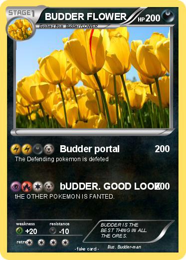Pokemon BUDDER FLOWER