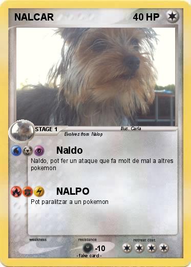 Pokemon NALCAR