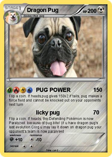 Pokemon Dragon Pug