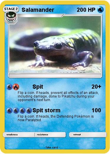 Pokemon Salamander