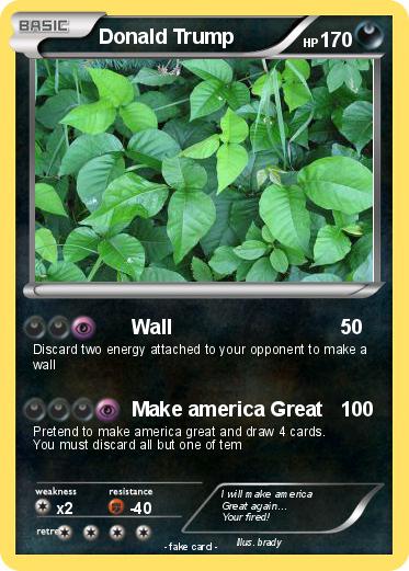 Pokemon Donald Trump