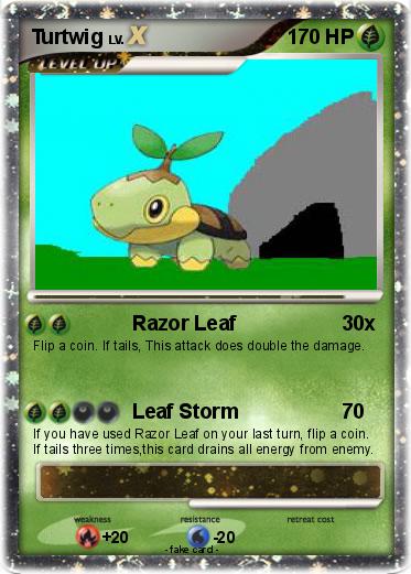 Pokemon Turtwig
