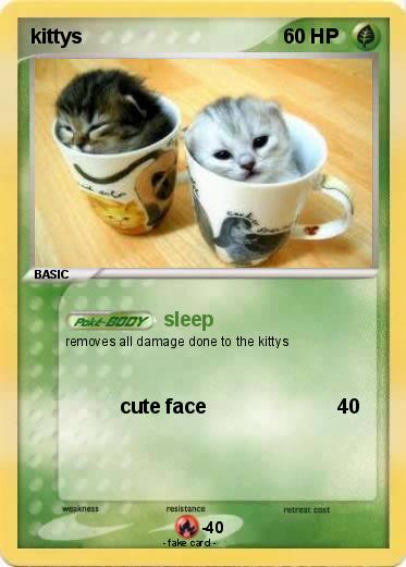 Pokemon kittys