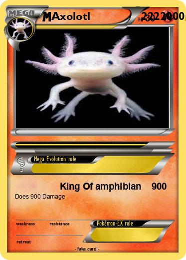 Pokemon Axolotl                2222000