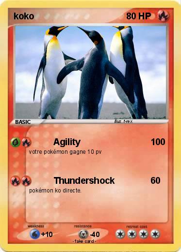 Pokemon koko