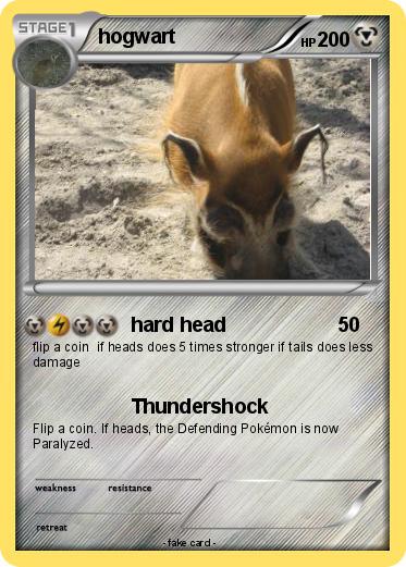Pokemon hogwart