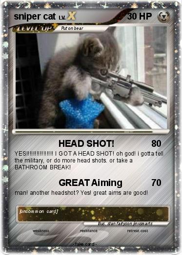 Pokemon sniper cat